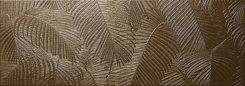 Kentia Bronze 31.6x90
