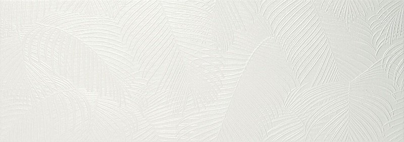 Kentia White 31.6x90