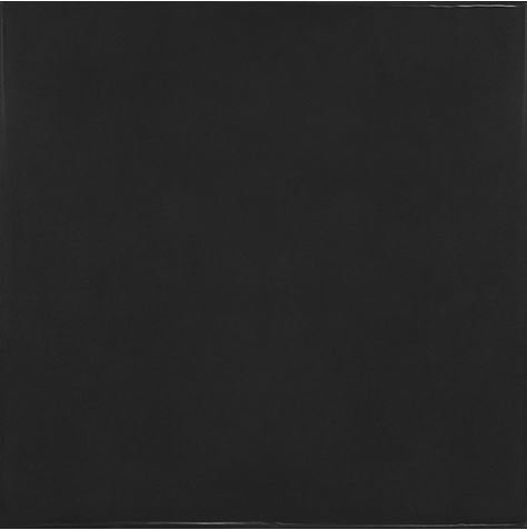 Black 13.2x13.2