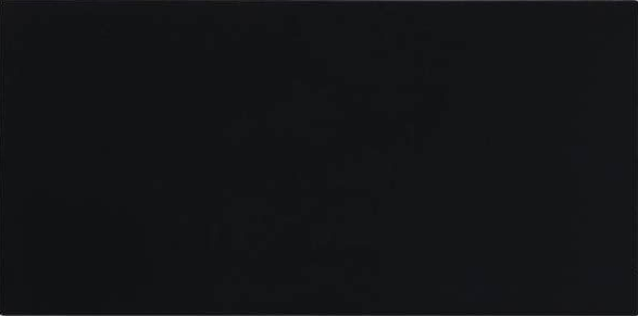 Black 10x20