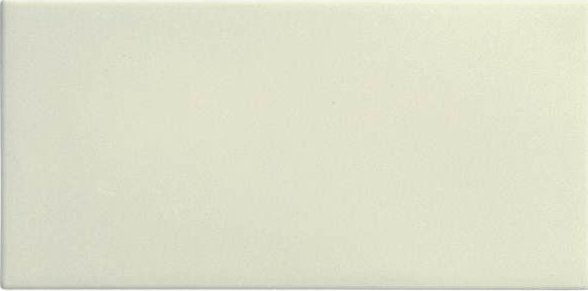 Ivory 10x20