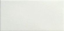 White 10x20