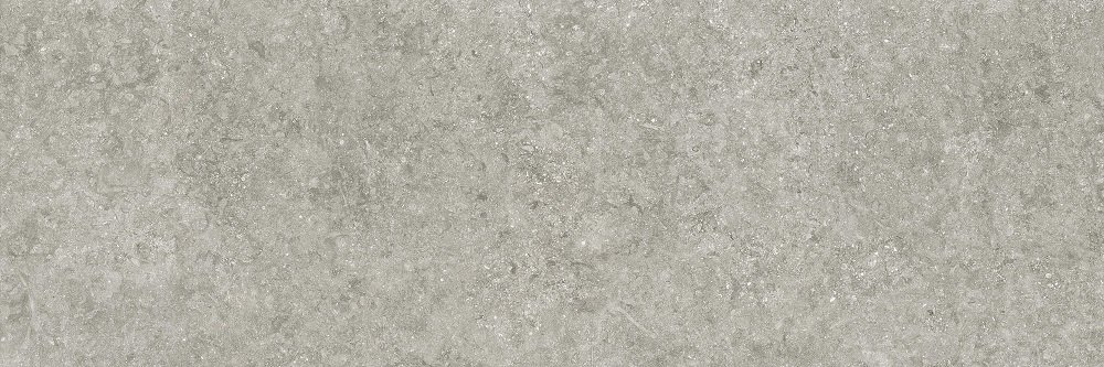 Coverlam Blue Stone Gris Natural 5.6mm  100x300