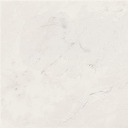 STATUARIO LIVING LAP. 59.5x59.5