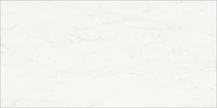 Bianco Michelangelo Cerato 60x120