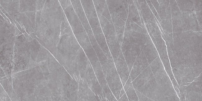 GREYSTONE ARGENT 60x120